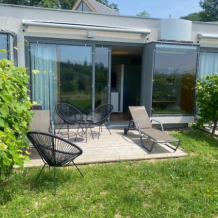 *Brandnew* Modernes Apartment In Den Weinbergen Mit Pool Und Sauna Шпилфелд Екстериор снимка