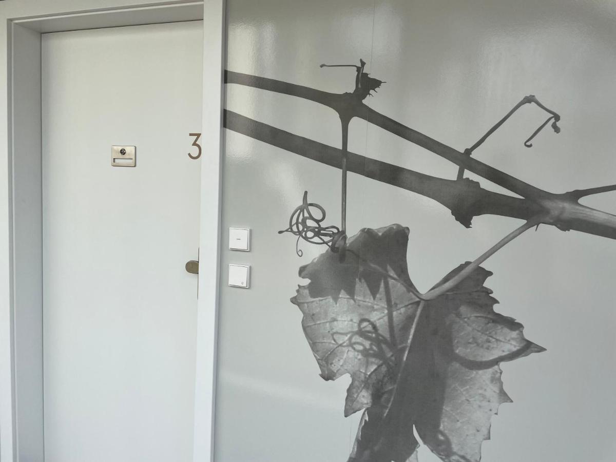 *Brandnew* Modernes Apartment In Den Weinbergen Mit Pool Und Sauna Шпилфелд Екстериор снимка